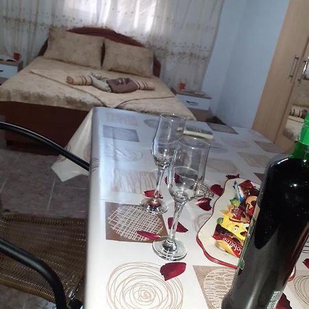 Studio-Apartman Milena 2 Podgorica Eksteriør bilde