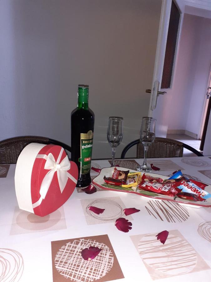 Studio-Apartman Milena 2 Podgorica Eksteriør bilde