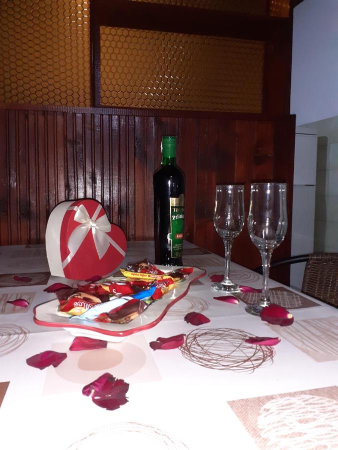 Studio-Apartman Milena 2 Podgorica Eksteriør bilde